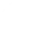 wordpress-icon